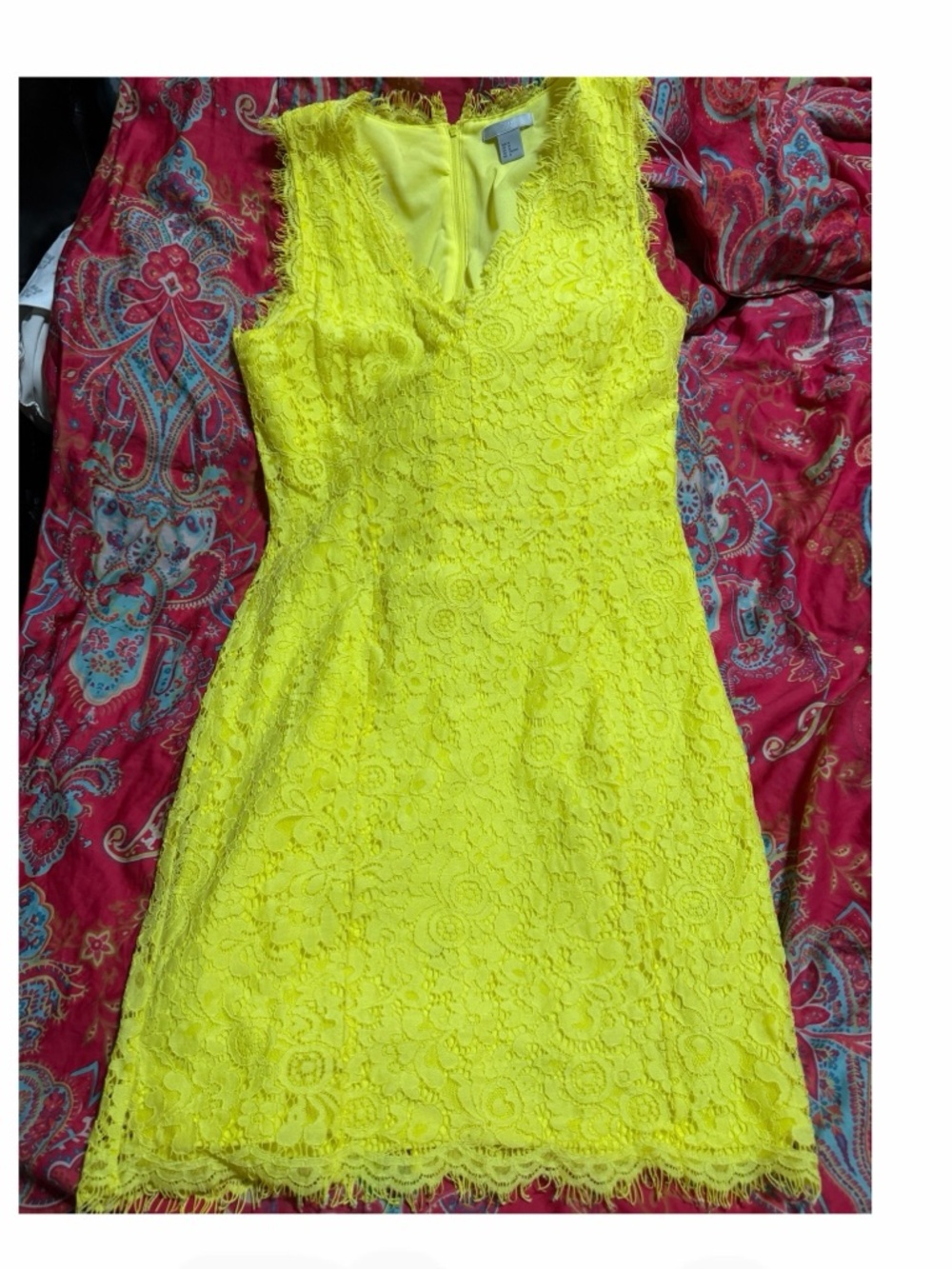 Gorgeous Lemon yellow H&M lace dress